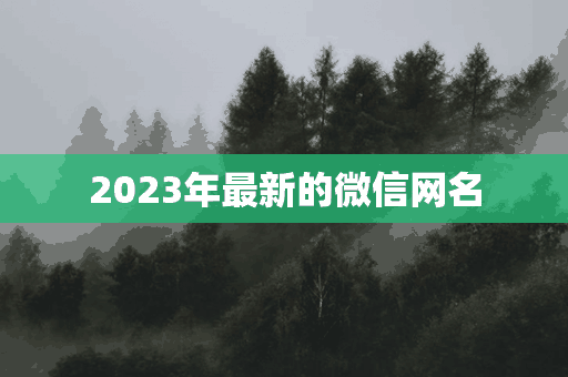 2023年最新的微信网名(2023年最新的微信网名是什么)